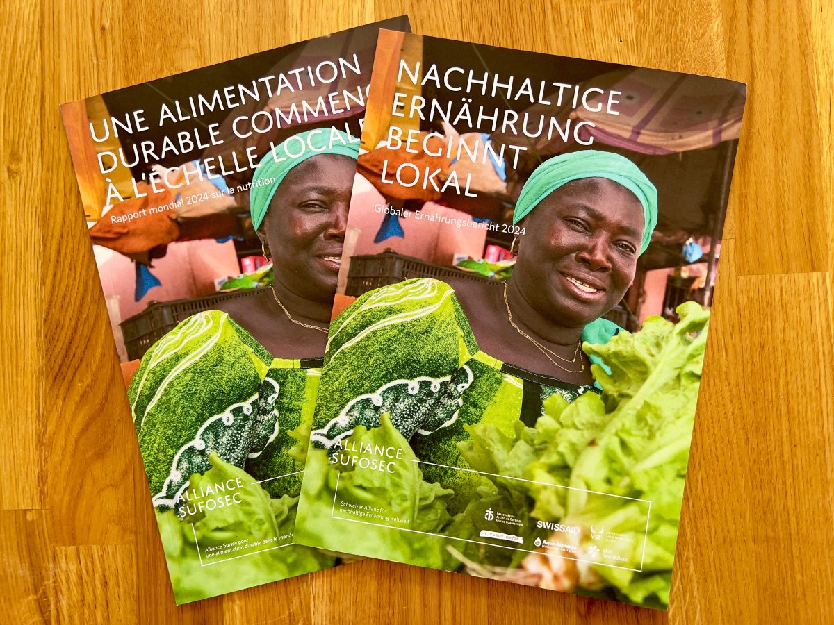 WissensWandler, Redaktion und Konzeption Welternährungsbericht 2024