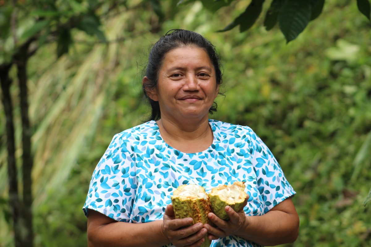 WissensWandler, Redaktion und Konzeption Welternährungsbericht 2024