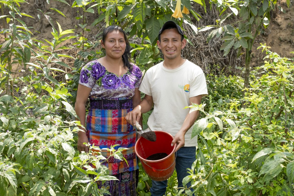 WissensWandler, Redaktion und Konzeption Welternährungsbericht 2024